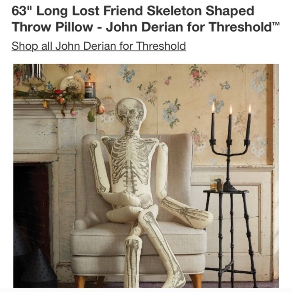 ISO John Derian Halloween Skeleton Pillow Target